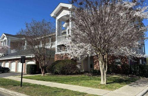Charlotte House | Now and Zen