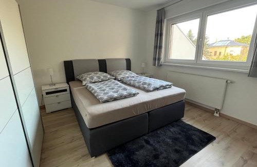 Striesen Apartment | NP-Apartments Blasewitz