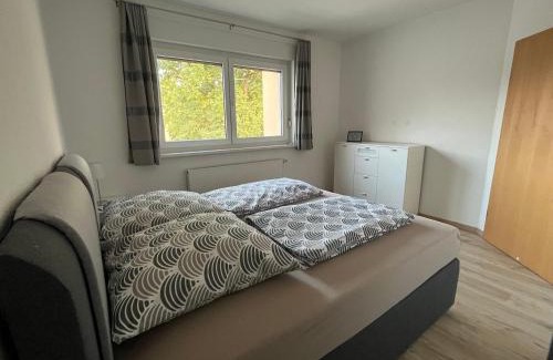 Striesen Apartment | NP-Apartments Blasewitz