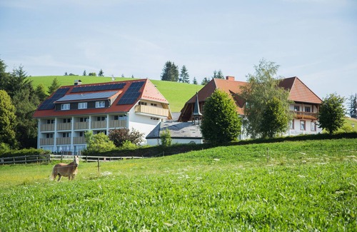 Sankt Maergen Apartment | Nr. 04 - Ferienwohnung Feldberg mit Balkon