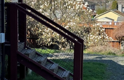 Port Angeles House | nThe Birch…Beautiful…Private…Cottage…loft…great for two…can sleep 5. Surprises