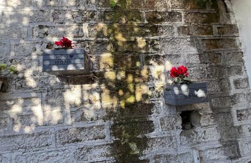 Ponte Galeria-La Pisana Bed & Breakfast | Nuova Fiera Apart.