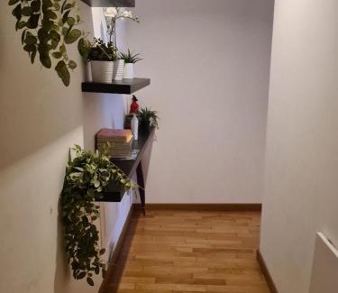 Casal Bertone Apartment | Nuovo appartamento stazione Tiburtina