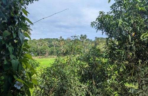 Beliatta House | Nuwans Countryside Hideaway