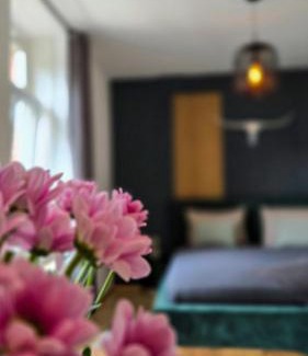 Johannesvorstadt Apartment | NUWILU TWO - WOHLFÜHLAPARTMENT im Herzen Erfurts - Magenta TV- Netflix - Disney