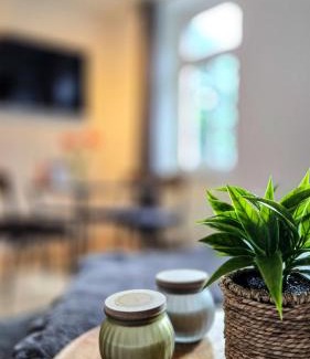 Johannesvorstadt Apartment | NUWILU TWO - WOHLFÜHLAPARTMENT im Herzen Erfurts - Magenta TV- Netflix - Disney