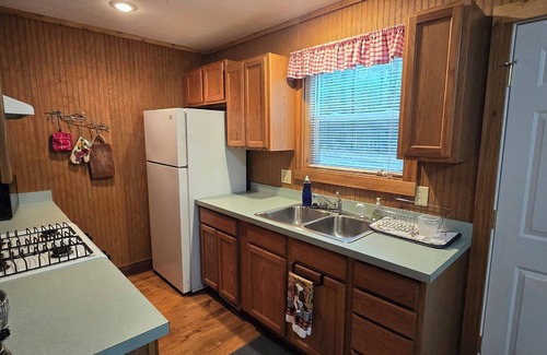 Indian River Cabin | Oak Haven Cottage Secluded & Rustic near Burt Lake Sleeps 6