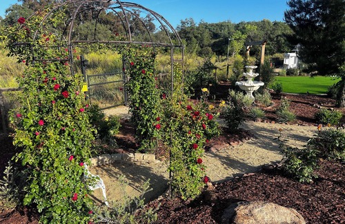 Alpine House | Oak Haven Garden Oasis