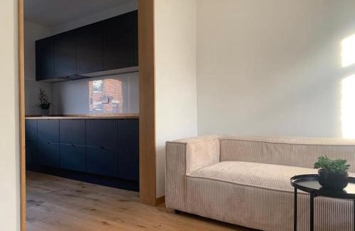 Belfast House | Oasis by Black Dove design