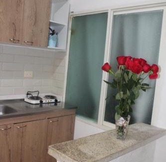 Darien Apartment | Oasis