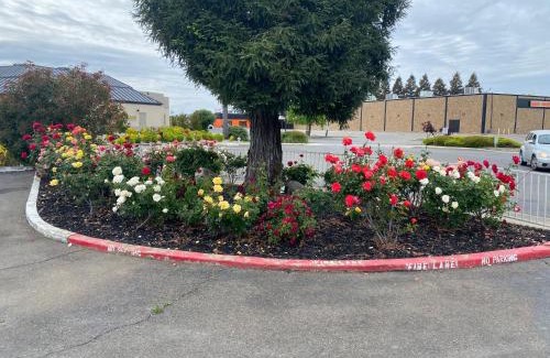 Southwestern Sacramento Hotel | Oasis Inn Sacramento- Elk Grove