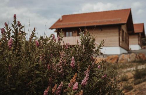 Schotten House | Oberwald Chalets Ferienhaus 3