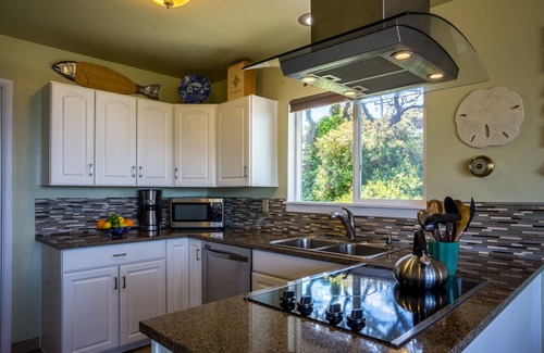 Seal Rock House | Ocean Front! Hot Tub! Dog Friendly!