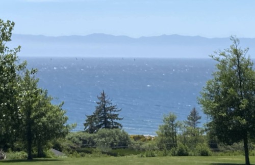 Otter Point Apartment | Ocean Oasis -gorgeous Private Vacation Suite + Welcome Breakfast/brunch Basket
