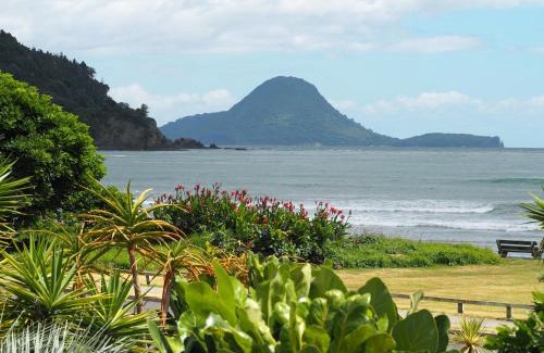 Ohope Apartment | Ocean View