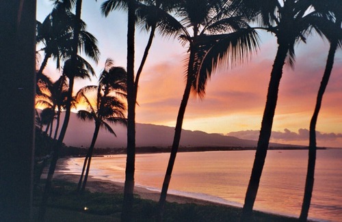 Kihei Condo | Oceanfront at Sugar Beach Resort - #226