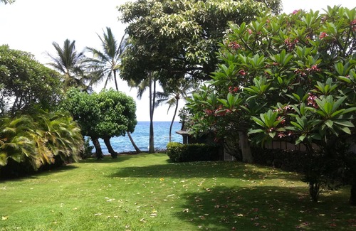 Wailea Cottage | Oceanfront, beautiful, private property you have all to yourselves.