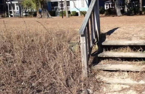 Melrose on the Beach House | Oceanfront Cottage Duplex on Daufuskie Island