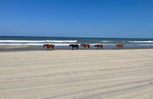 Whalehead Beach House | Oceanfront grandeur 4x4 Outerbanks -Hemingway