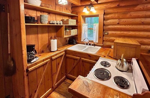 Benton Apartment | Ocoee Cabin | Beautiful Cabin on the River's Edge