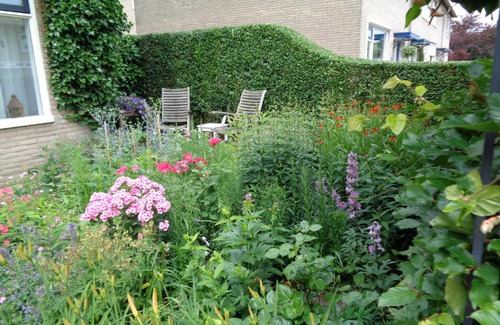 Hardenberg Bed & Breakfast | Oddingsplace