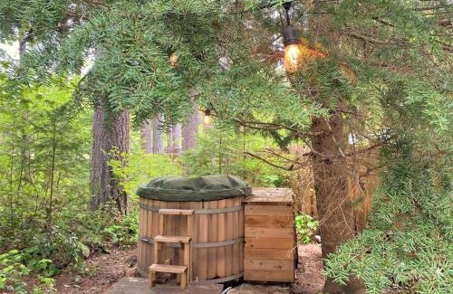 Packwood House | Ohana Cabin