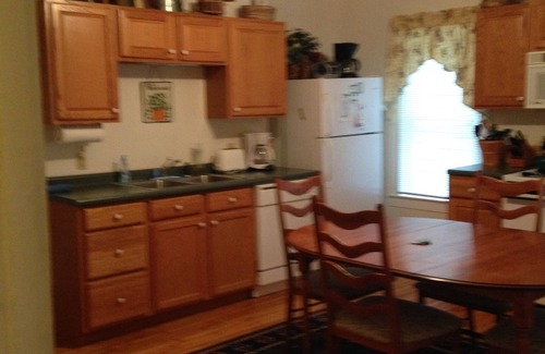 Ludlow Apartment | Okemo Mt. Family Affordable 1st floor, village shuttle, walk to town, Dogs OK