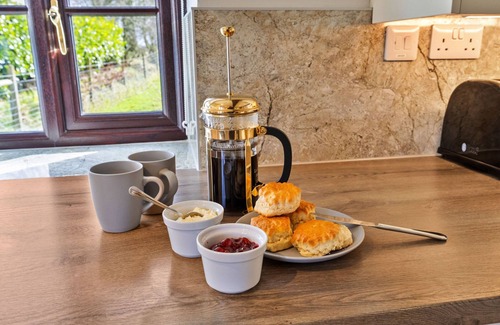 Holsworthy House | Old Mill by Interhome