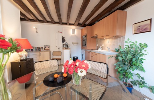 Jardin des plantes Apartment | Old Stones, Wooden Beams, View on Ancient Paris Lutecia, Latin Quarter