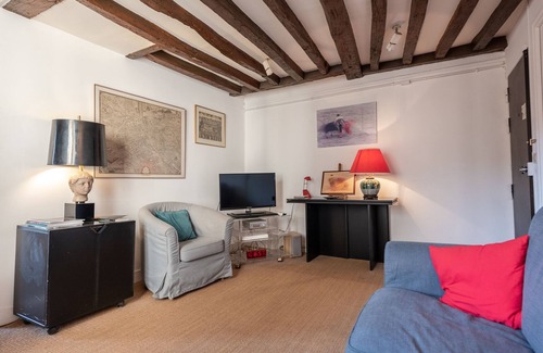 Jardin des plantes Apartment | Old Stones, Wooden Beams, View on Ancient Paris Lutecia, Latin Quarter