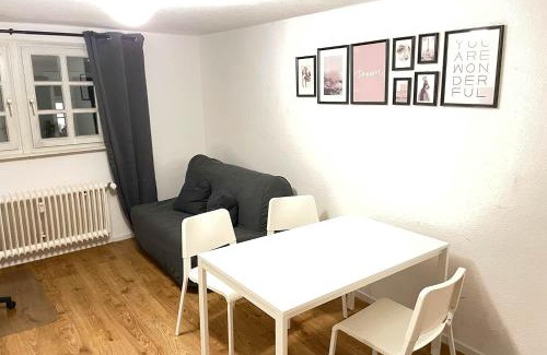 Heidelberg City Centre Apartment | Old Town Flat in Heidelberg