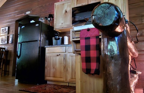 Knoxville Cabin | Old World Swiss Cabin Nestled In Woods Ancient Lore & Neyland Stadium Close by