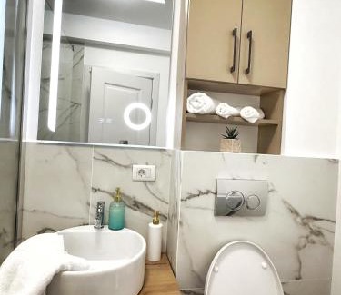 Baia Mare Apartment | OldTown Maramures Studio 1