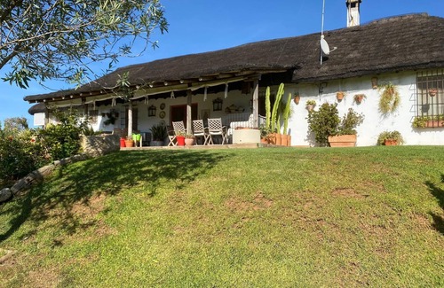 Villamanrique de la Condesa House | OLIVE GROVE OF GATOS FARM
