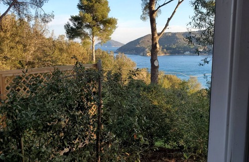 Procchio House | Olive house