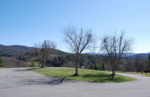 Mountain City House | Olive Tree Cottage 3BR