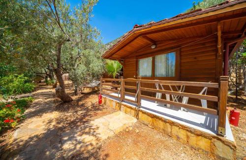 Kas Resort | Olympos Mocamp