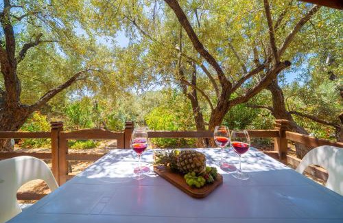 Kas Resort | Olympos Mocamp