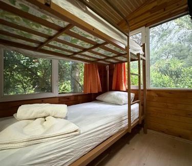 Olympos House | Olympos Natural Pansiyon