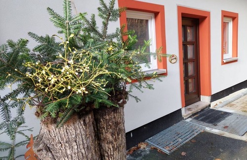 Bad Schandau Apartment | on the edge of town Comfortable Vacation Home
