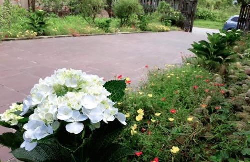 Huong Thuy House | ONA HOME - Entire Hue-styled garden house nearby a pine hill