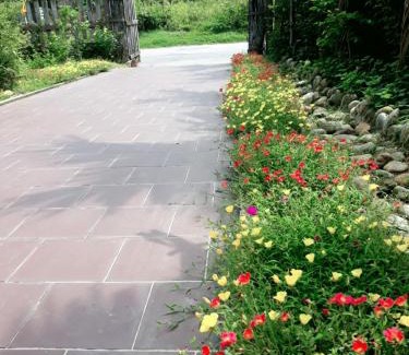 Huong Thuy House | ONA HOME - Entire Hue-styled garden house nearby a pine hill