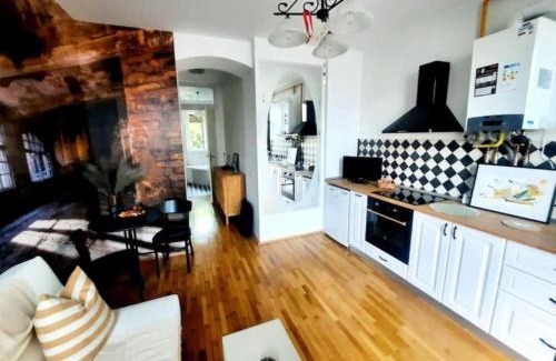 Old City Apartment | One bedroom by the Park Old Town Belle Vue Timisoara