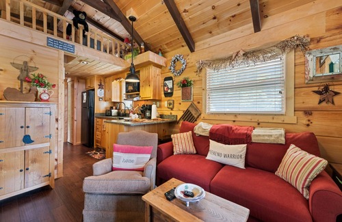 Asheville Cabin | One Bedroom Cabin 43 Acre Retreat Pets OK- Fenced, Private, Views, Internet