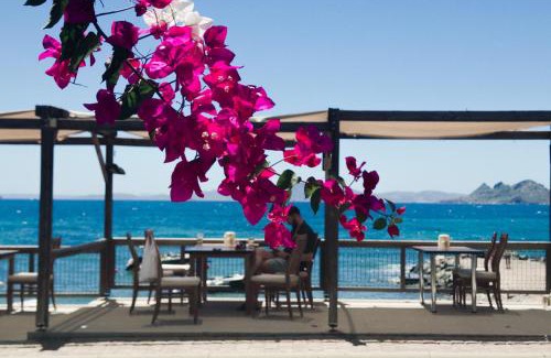 Turgutreis Hotel | One More Day Hotel