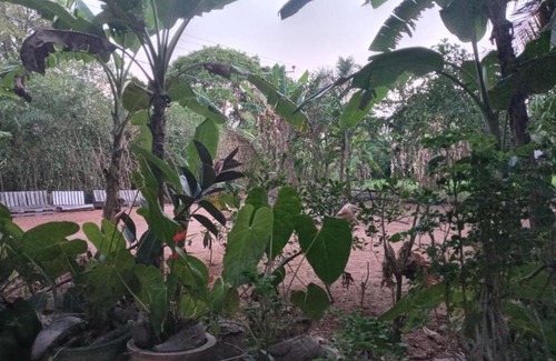 Sigiriya House | One More Night Homestay