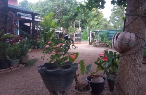 Sigiriya House | One More Night Homestay
