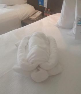 Coyoacan Hotel | One Periferico Sur