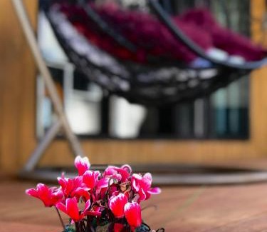 Greenlane - Ellerslie House | Onehunga Garden Tinyhouse with parking