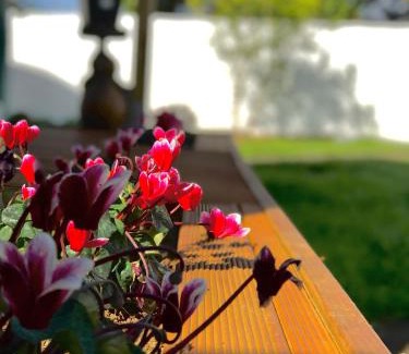 Greenlane - Ellerslie House | Onehunga Garden Tinyhouse with parking